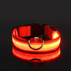 Flashing Glow Dog Collar